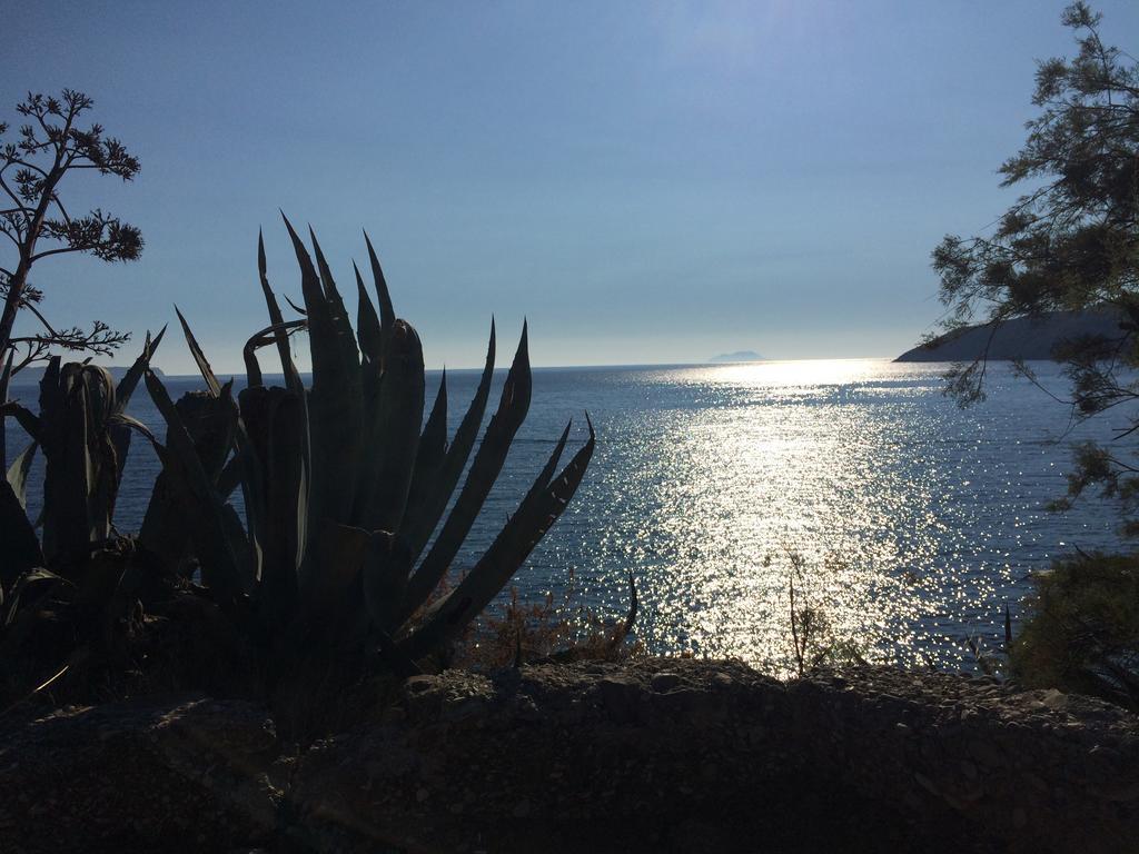 Villa Lavendel Trogir Ngoại thất bức ảnh