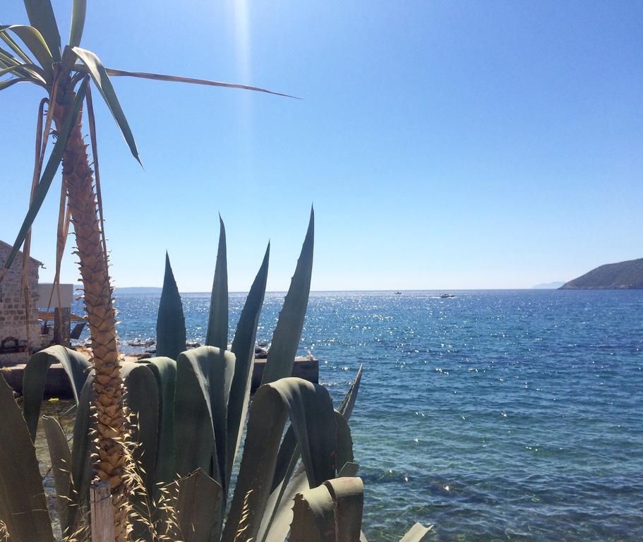 Villa Lavendel Trogir Ngoại thất bức ảnh