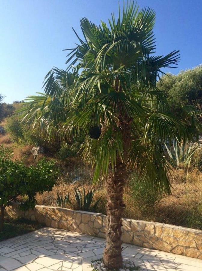 Villa Lavendel Trogir Ngoại thất bức ảnh